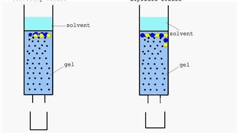 column chromatography animation|youtube chromatography.